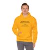 Chasing Wisdom Funny Hoodie