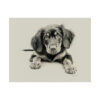 Gordon Setter Portrait Fine Art Print