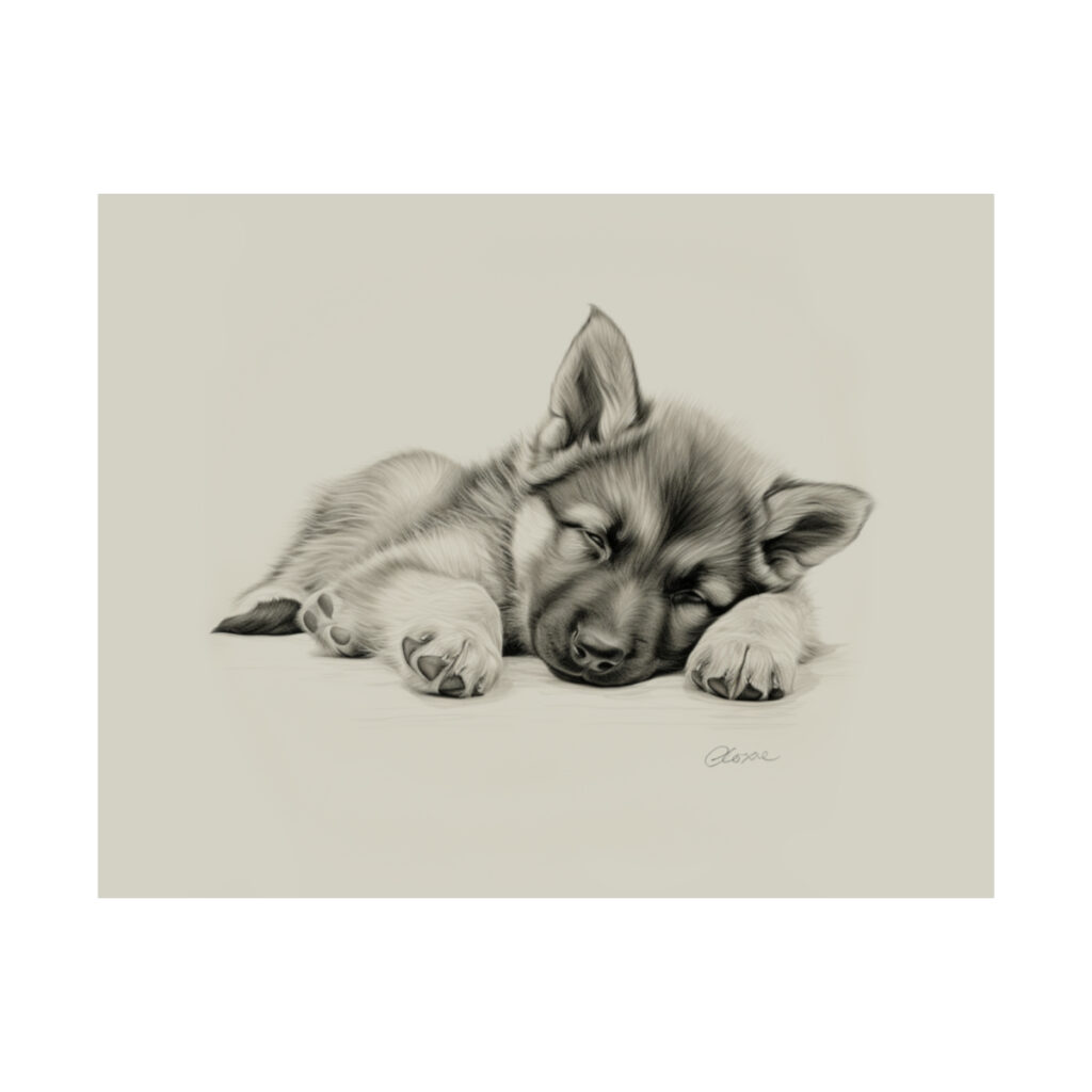 German Shepherd Puppy Portrait Fine Art Print