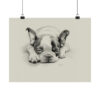 Boston Terrier Portrait Fine Art Print