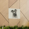 Cane Corso Portrait Fine Art Print