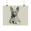 Belgian Malinois Portrait Fine Art Print