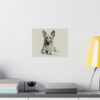 Belgian Malinois Portrait Fine Art Print