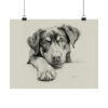 Rottweiler Portrait Fine Art Print