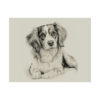 Cavalier King Charles Spaniel Portrait Fine Art Print