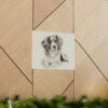 Cavalier King Charles Spaniel Portrait Fine Art Print