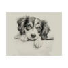 Cavalier King Charles Spaniel Portrait Fine Art Print