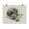 German Shorthaired Pointer Fine Art Print