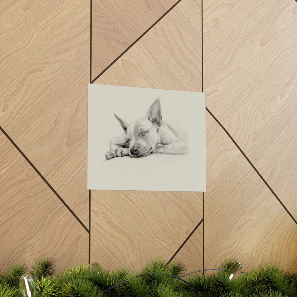 American Hairless Terrier Fine Art Print