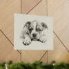 Bulldog Portrait Fine Art Print