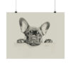 French Bulldog Portrait Fine Art Print