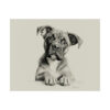 Boxer Dog Portrait Fine Art Print