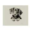 Dachshund Portrait Fine Art Print