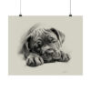 Cane Corso Portrait Fine Art Print