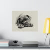 Cane Corso Portrait Fine Art Print