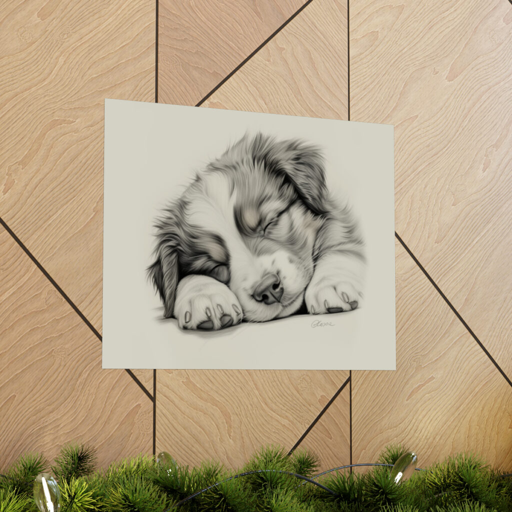 Australian Shepherd Dog Portrait Fine Art Print