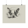 Boston Terrier Portrait Fine Art Print