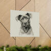 Cane Corso Portrait Fine Art Print