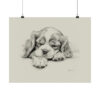 Cavalier King Charles Spaniel Portrait Fine Art Print