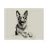 German Shepherd Portrait Fine Art Print