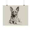 Belgian Malinois Portrait Fine Art Print