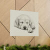 Labrador Retriever Portrait Fine Art Print