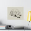 Labrador Retriever Portrait Fine Art Print