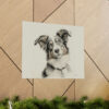 Australian Shepherd Dog Portrait Fine Art Print