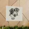 Rottweiler Portrait Fine Art Print