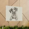 German Shorthaired Pointer Portrait Fine Art Print