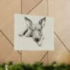 American Hairless Terrier Portrait Fine Art Print