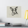 Boston Terrier Portrait Fine Art Print