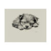 Yorkshire Terrier Fine Art Print