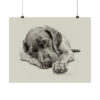 German Shorthaired Pointer Fine Art Print