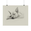 American Hairless Terrier Fine Art Print