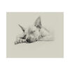 American Hairless Terrier Fine Art Print