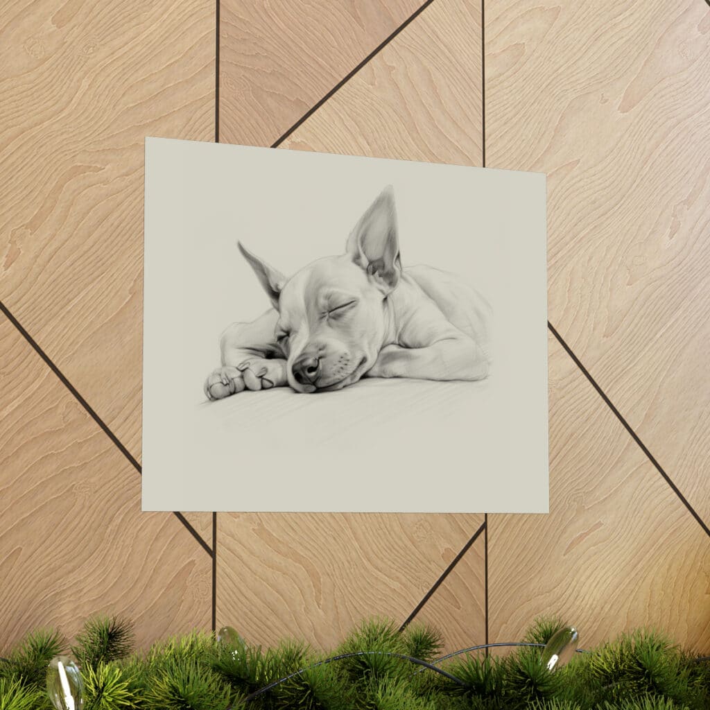 American Hairless Terrier Fine Art Print