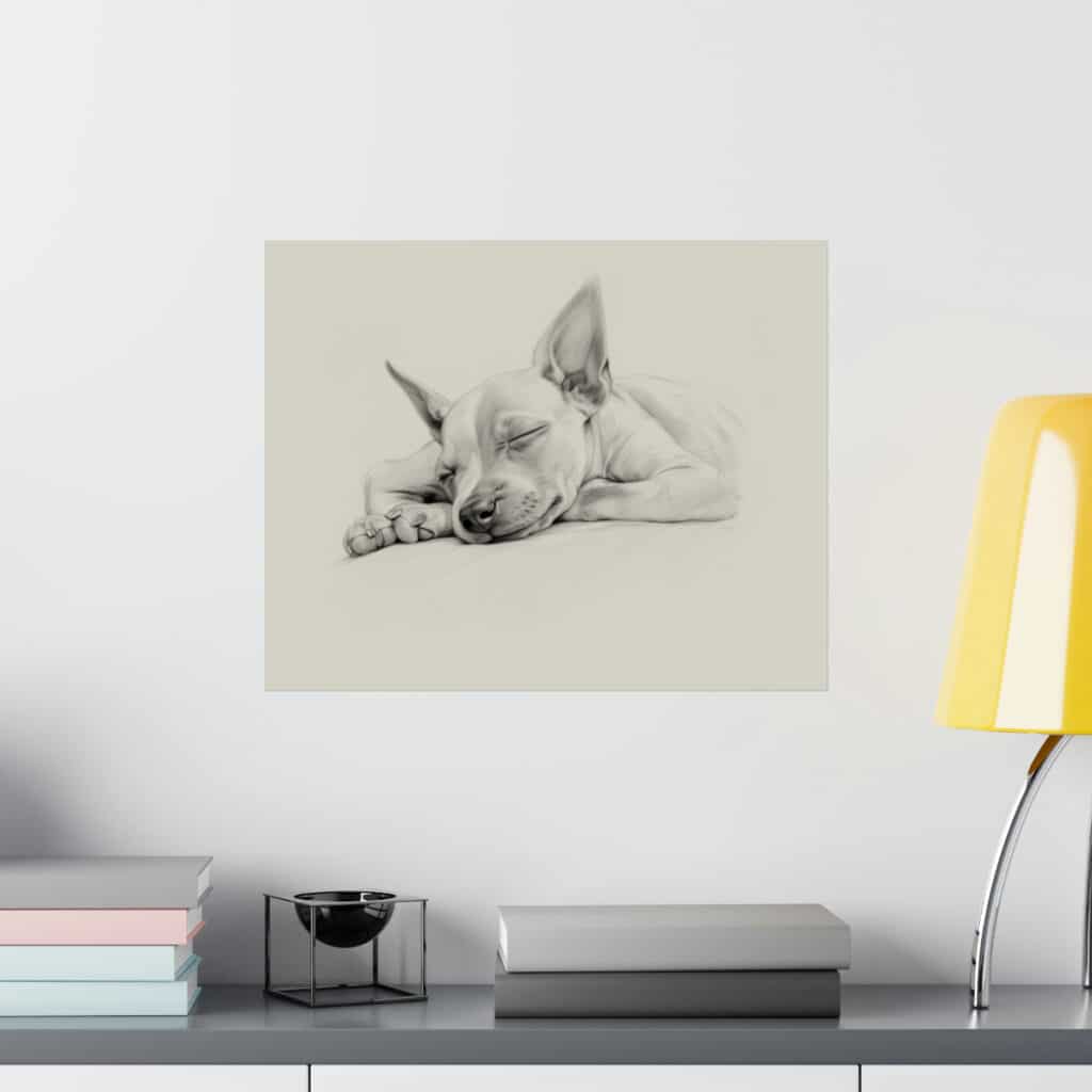 American Hairless Terrier Fine Art Print