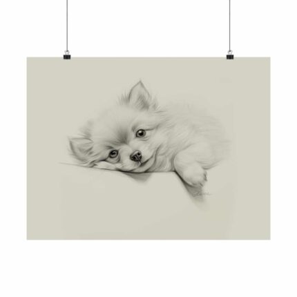 Pomeranian Portrait Fine Art Print