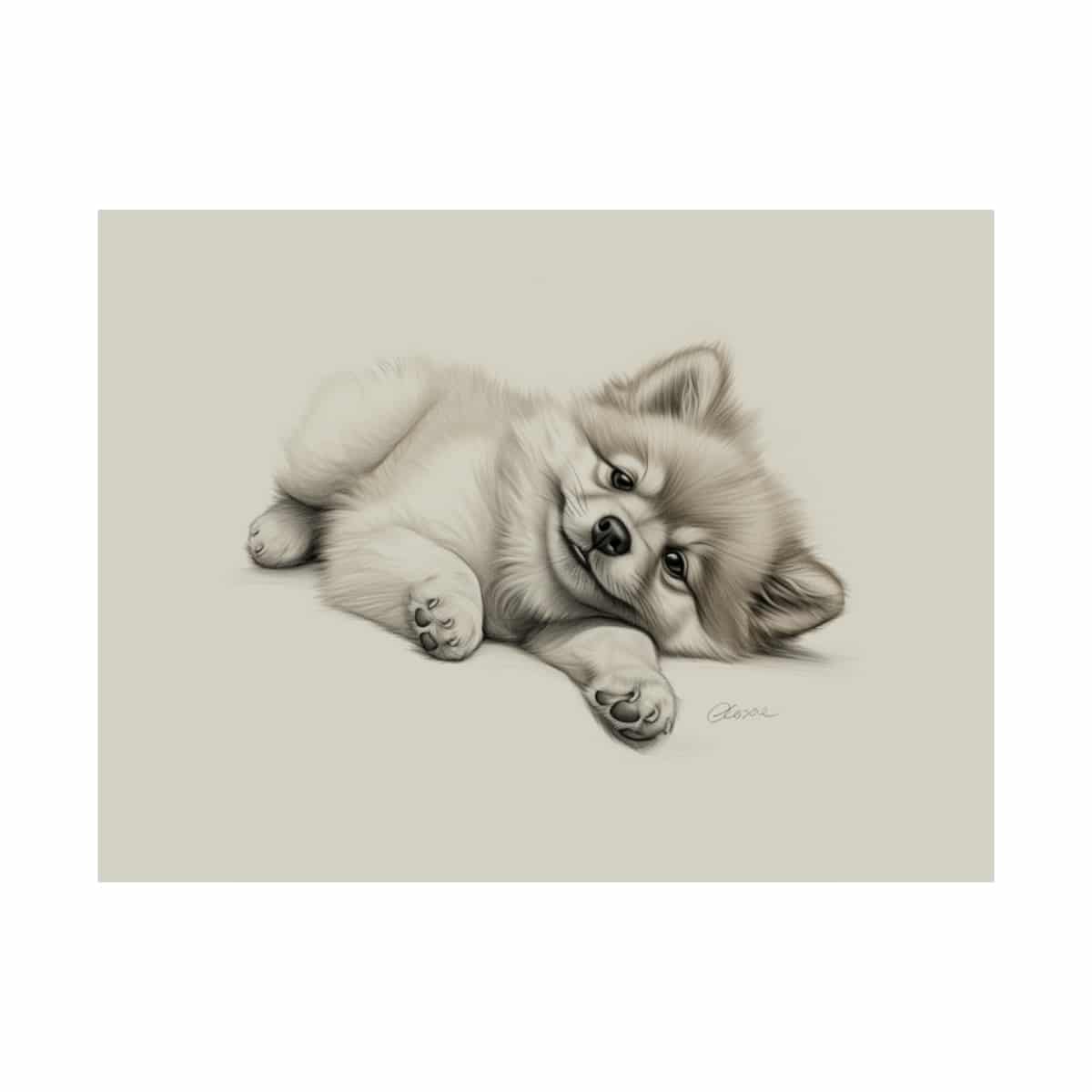 Pomeranian Portrait Fine Art Print