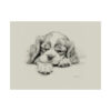 Cavalier King Charles Spaniel Portrait Fine Art Print