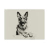 German Shepherd Portrait Fine Art Print