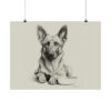 Belgian Malinois Portrait Fine Art Print