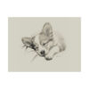 Pembroke Welsh Corgi Portrait Fine Art Print