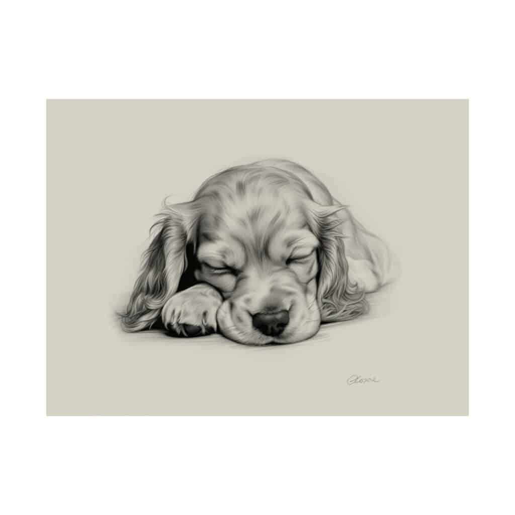 English Cocker Spaniel Portrait Fine Art Print