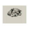 Yorkshire Terrier Fine Art Print