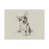 Pembroke Welsh Corgi Fine Art Print