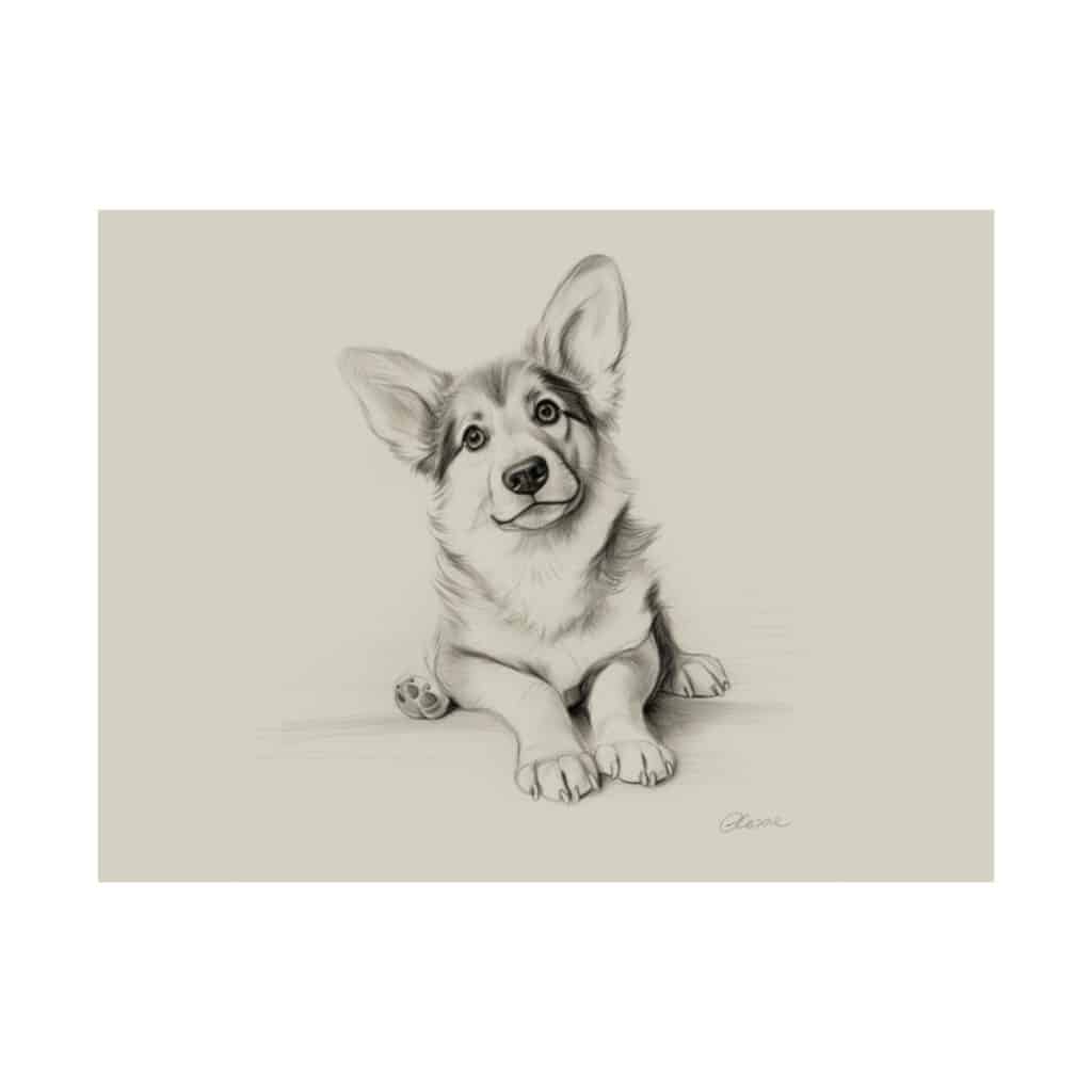 Pembroke Welsh Corgi Fine Art Print