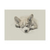 Pembroke Welsh Corgi Fine Art Print