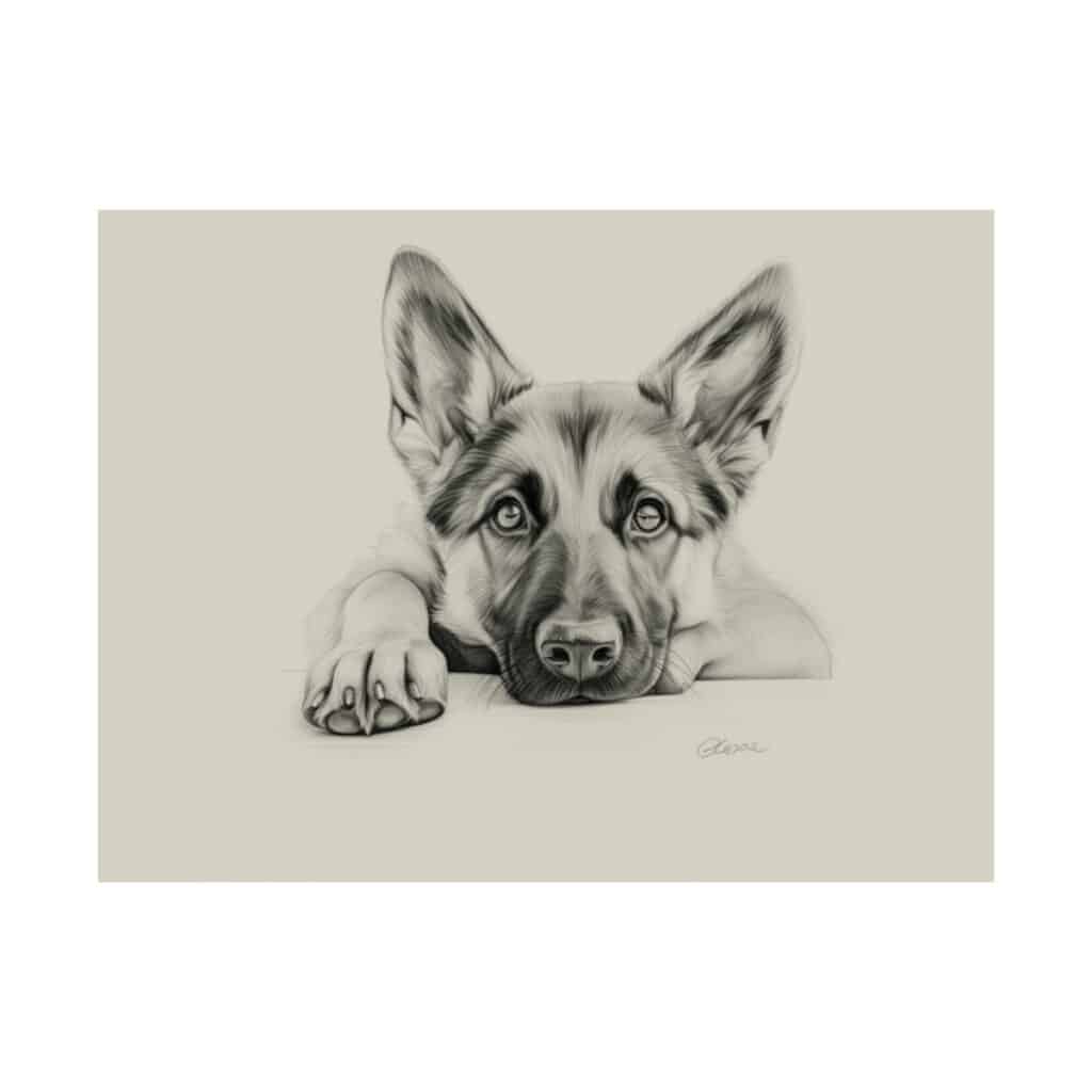 German Shepherd Fine Art Print